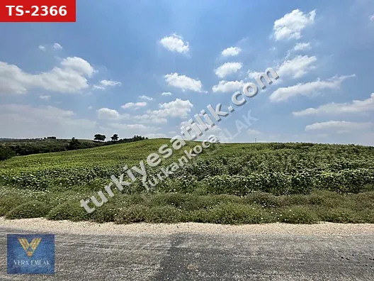 KARLIK'DA TEK TAPU 148 DÖNÜM ANA YOLA CEPHELİ SULAK TARLA!