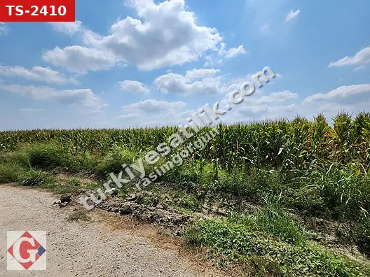 GÖRGÜN'DEN YALMANLI'DA KÖY İÇİ 10.196M2 SATILIK CAZİP TARLA